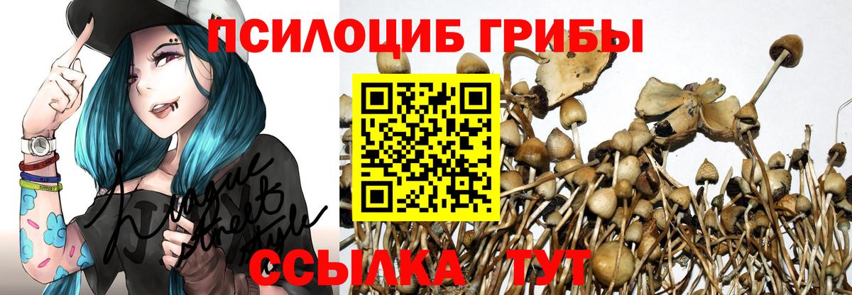 Псилоцибиновые грибы мицелий Ивантеевка